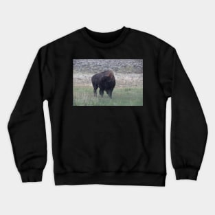 Bison in the rain Crewneck Sweatshirt